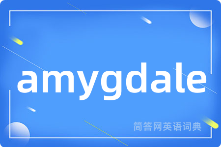 amygdale是什么意思,amygdale的中文翻译 amygdale