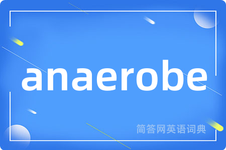 anaerobe是什么意思,anaerobe的中文翻译 anaerobe