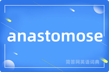 anastomose是什么意思,anastomose的中文翻译 anastomose