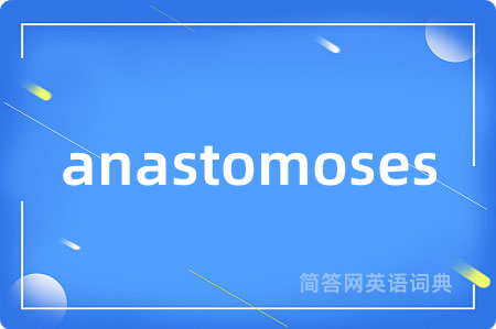 anastomoses
