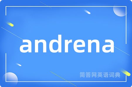 andrena
