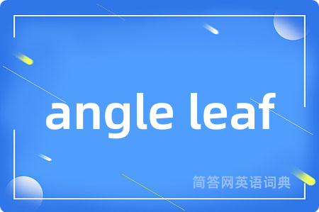 angle leaf是什么意思,angle leaf的中文翻译 angle leaf