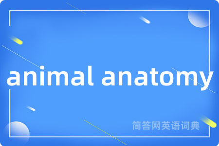 animal anatomy