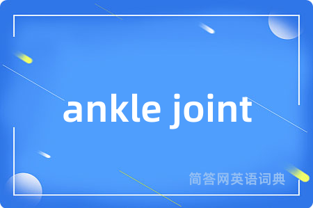 ankle joint是什么意思,ankle joint的中文翻译 ankle joint