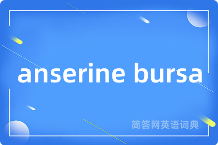 anserine bursa