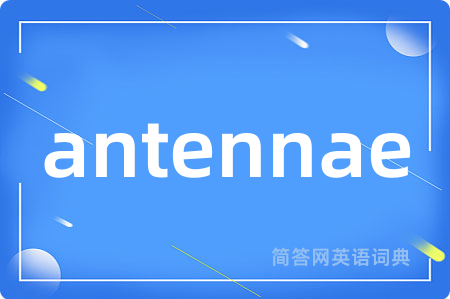 antennae是什么意思,antennae的中文翻译 antennae