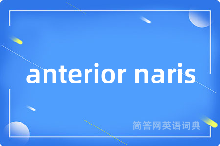 anterior naris
