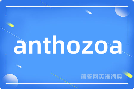 anthozoa