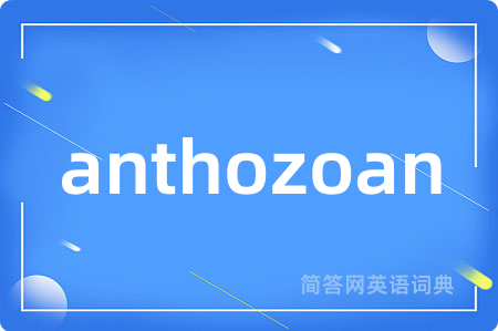 anthozoan