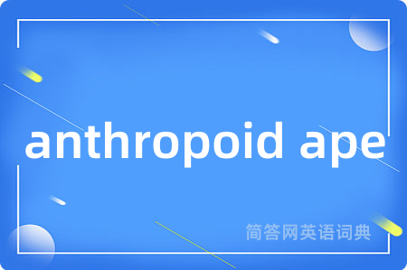 anthropoid ape