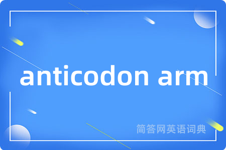 anticodon arm