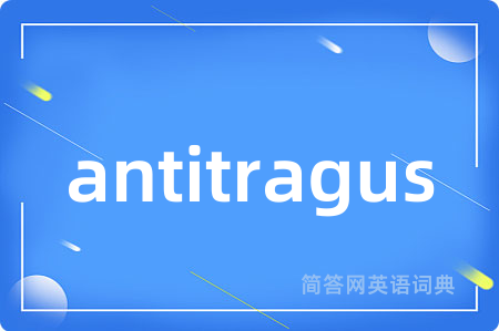 antitragus