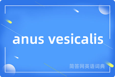 anus vesicalis