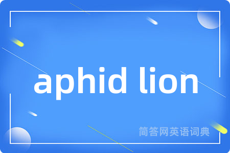 aphid lion