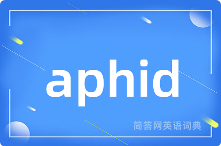 aphid