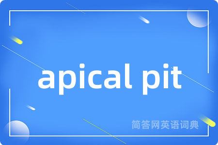 apical pit