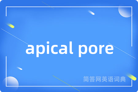 apical pore
