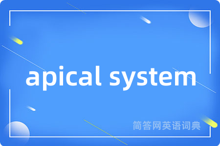 apical system