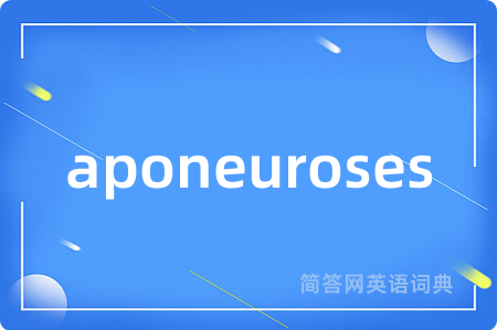 aponeuroses