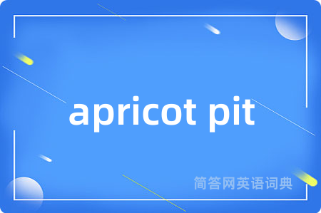 apricot pit