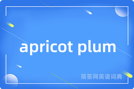 apricot plum