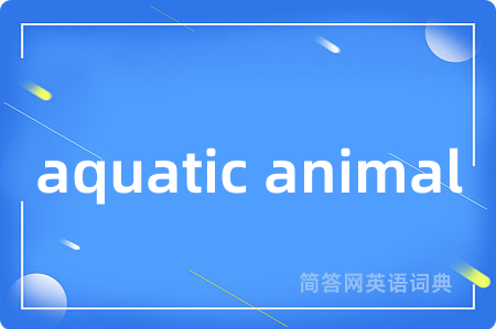 aquatic animal