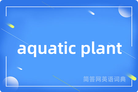 aquatic plant