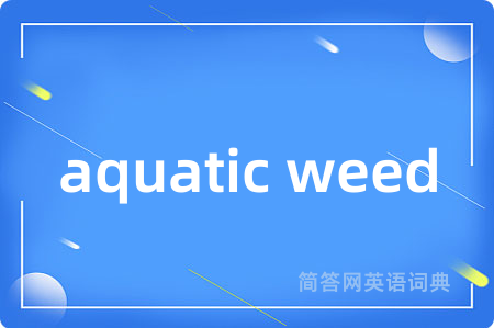 aquatic weed