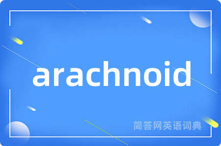 arachnoid