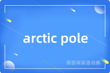 arctic pole