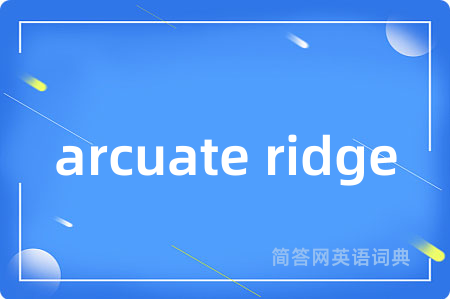 arcuate ridge