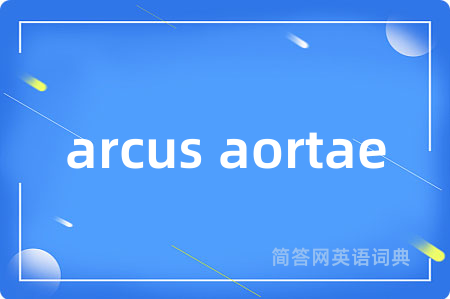 arcus aortae