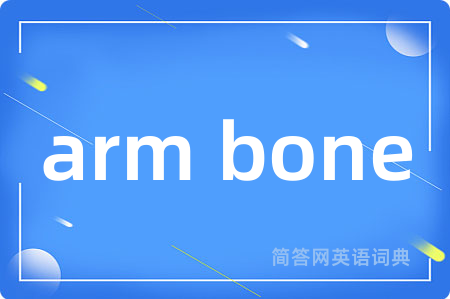 arm bone