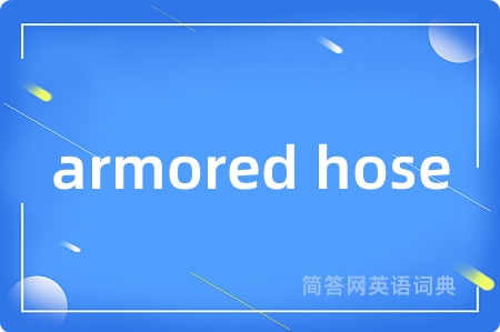 armored hose