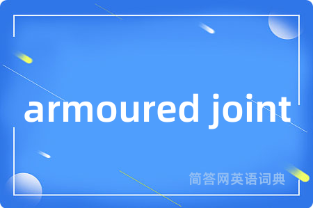 armoured joint