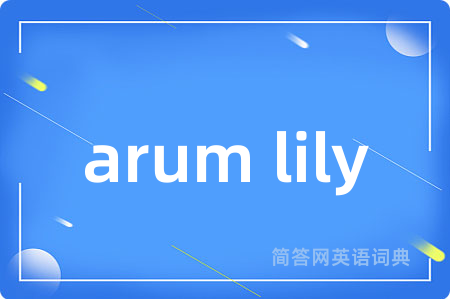 arum lily