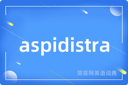 aspidistra是什么意思,aspidistra的中文翻译 aspidistra