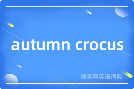 autumn crocus