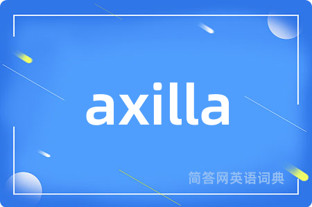 axilla