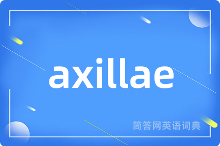 axillae