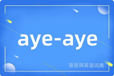 aye-aye