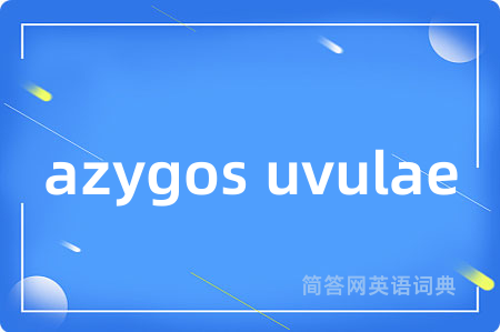 azygos uvulae