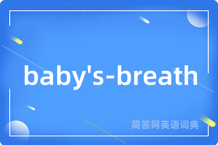 baby's-breath