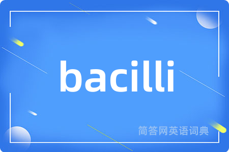 bacilli