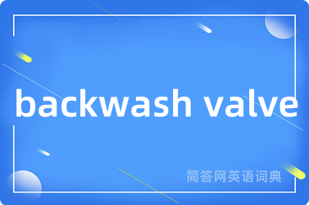 backwash valve