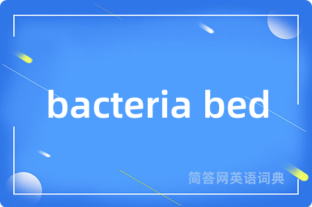 bacteria bed