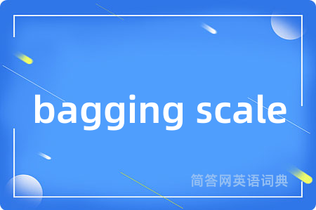 bagging scale
