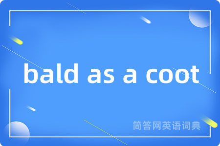 bald as a coot