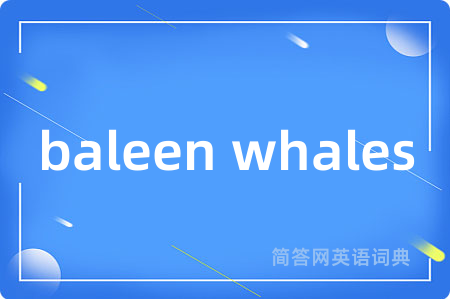 baleen whales