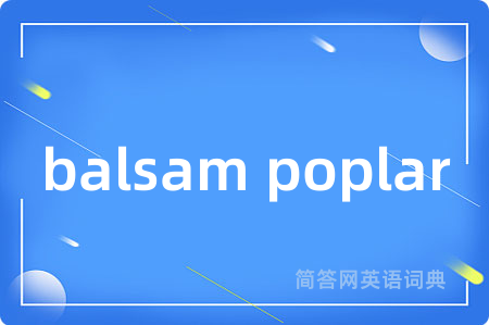 balsam poplar